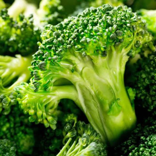 50Pcs Organic Broccoli Seeds