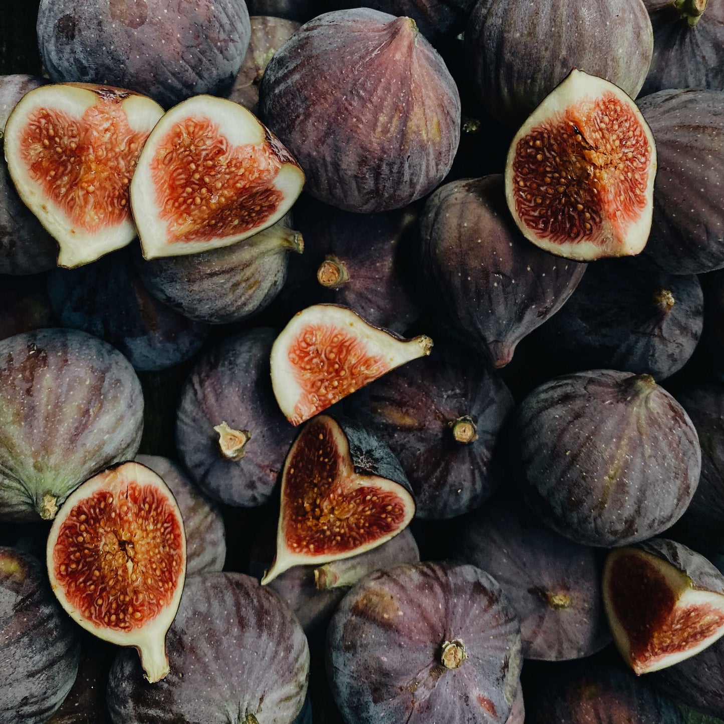 10Pcs Figs Fruit Tree Seeds