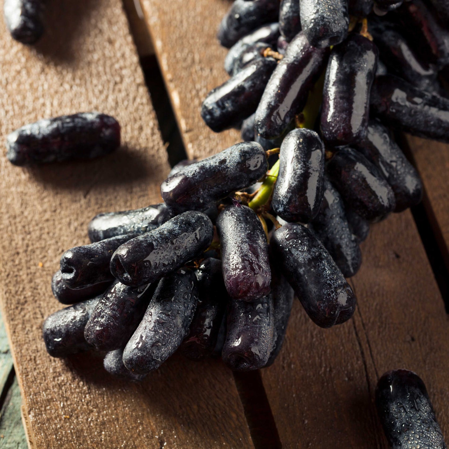 10Pcs Black Finger Grape Seeds, Grape Heirloom Seeds, Heirloom Fruit Seeds, Rare Seeds