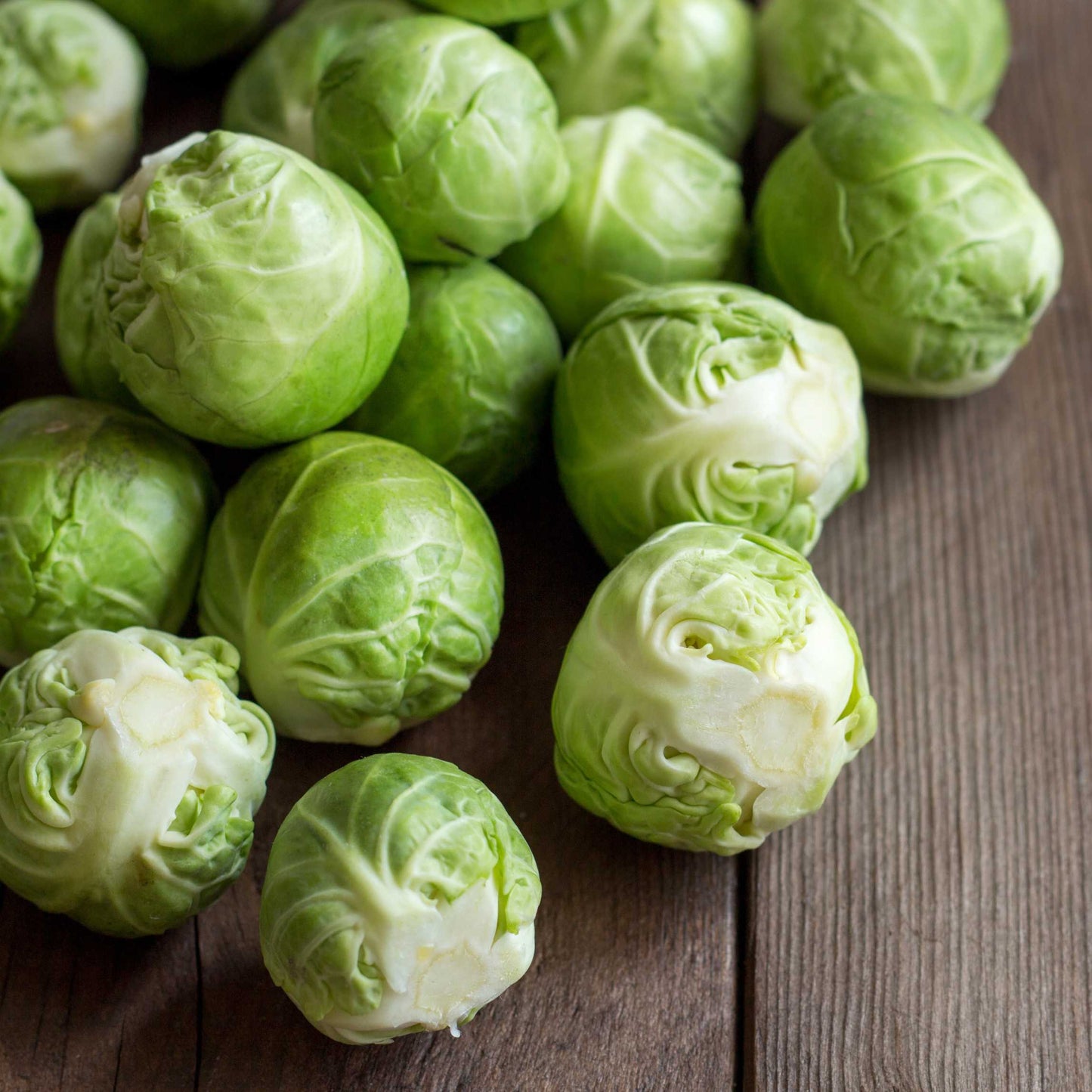 50Pcs Organic Brussels Sprout Seeds