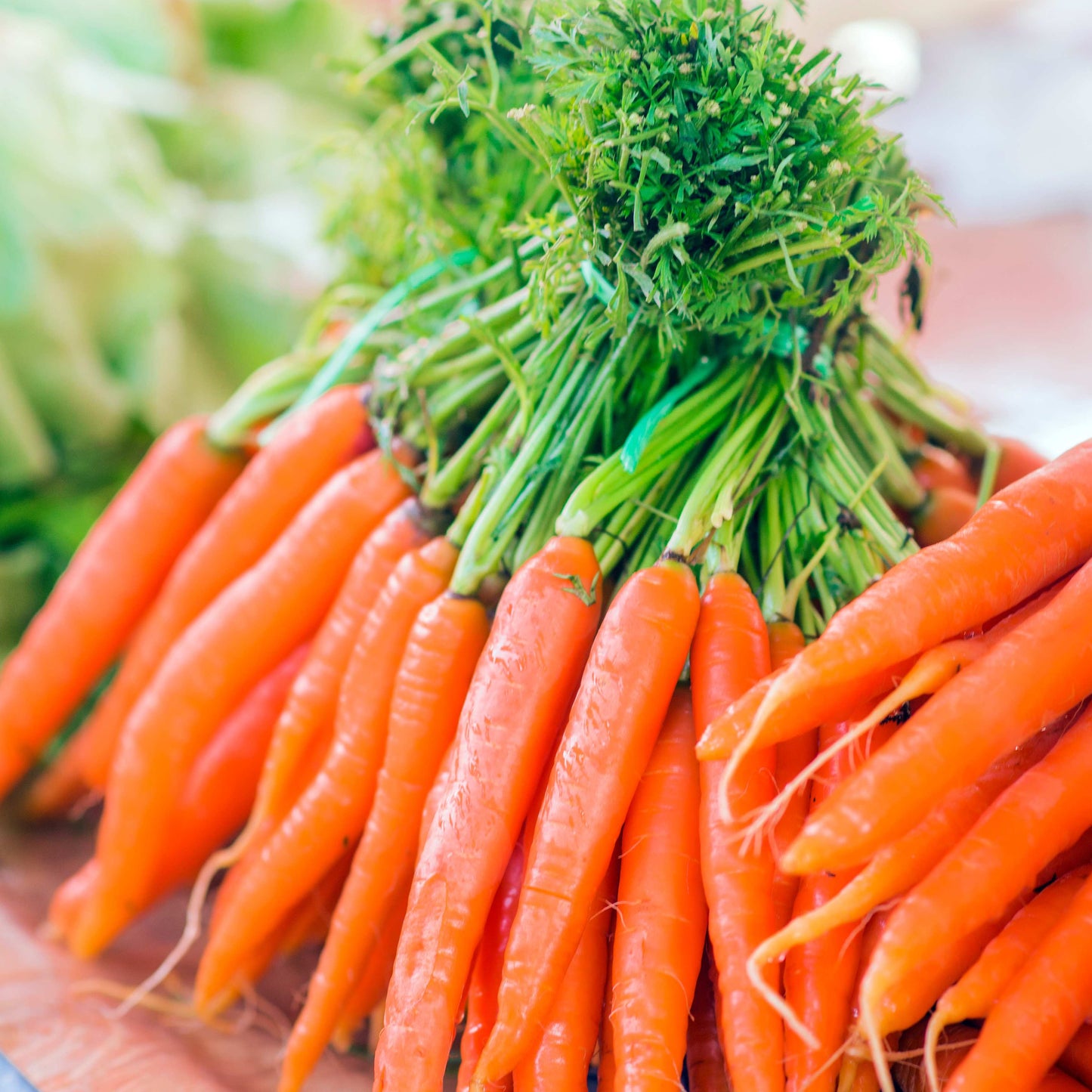 100Pcs Organic Carrot (Daucus carota) Seeds